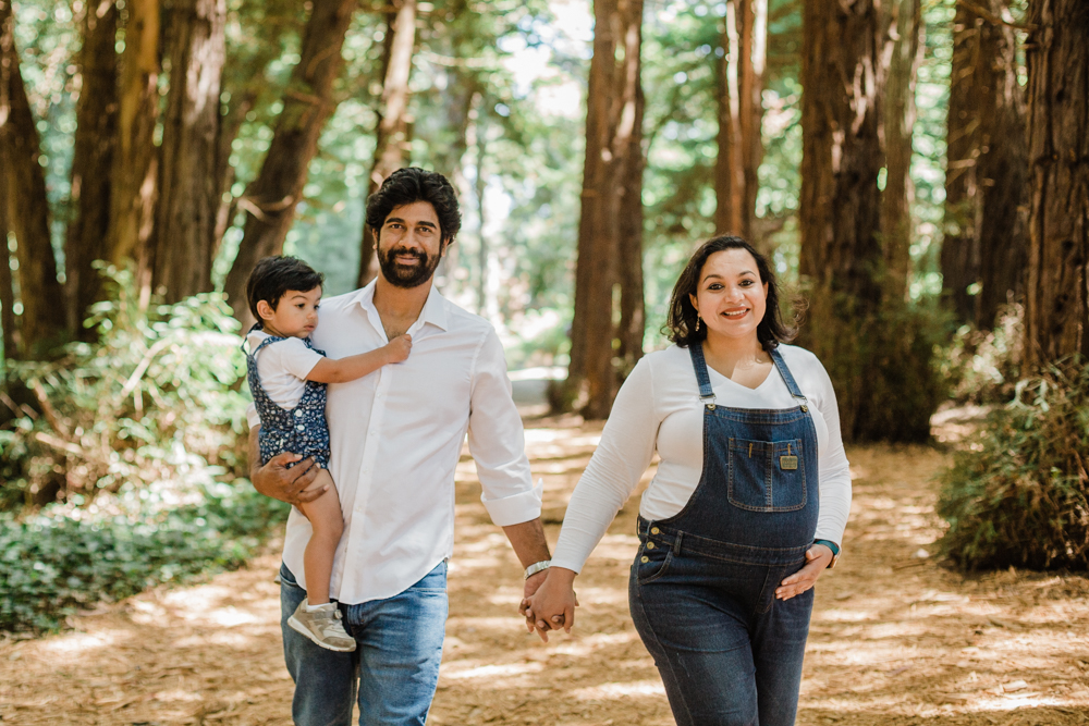 family photos in the redwoods